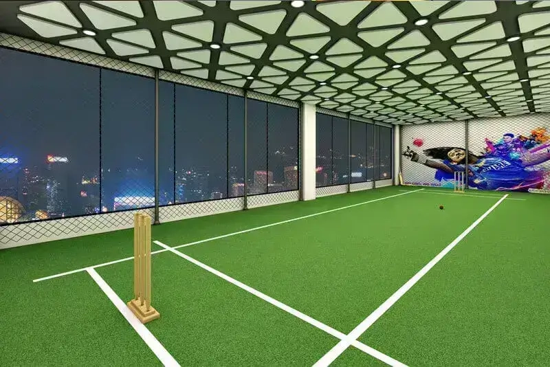 Cricket Turf Ground Sports Amenity at Velly Belly Club